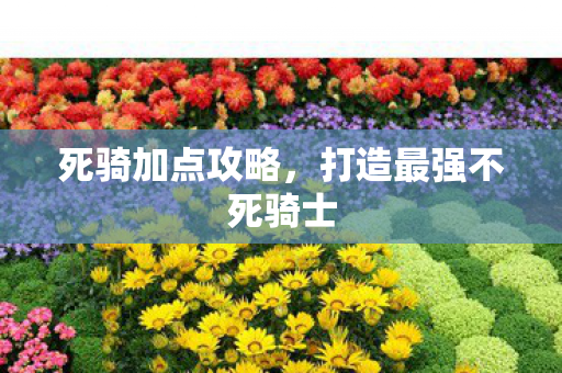 死骑加点攻略，打造最强不死骑士