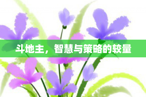 斗地主，智慧与策略的较量