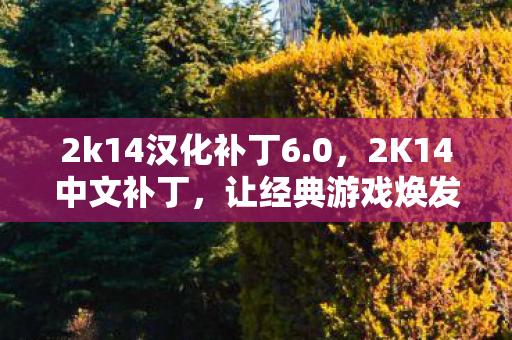 2k14汉化补丁6.0，2K14中文补丁，让经典游戏焕发新生