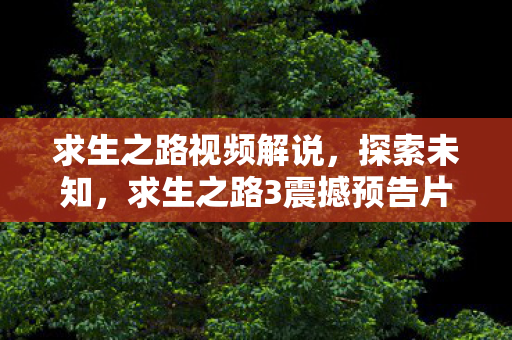 求生之路视频解说，探索未知，求生之路3震撼预告片解析与期待
