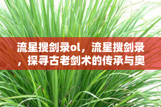 流星搜剑录ol，流星搜剑录，探寻古老剑术的传承与奥秘