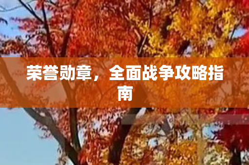 荣誉勋章，全面战争攻略指南