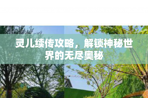 灵儿续传攻略，解锁神秘世界的无尽奥秘