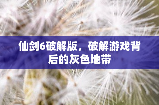 仙剑6破解版，破解游戏背后的灰色地带