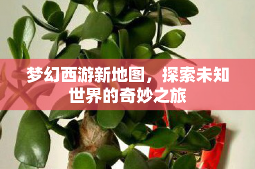 梦幻西游新地图，探索未知世界的奇妙之旅