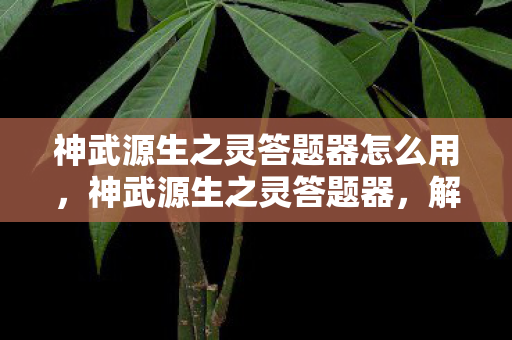 神武源生之灵答题器怎么用，神武源生之灵答题器，解锁智慧与力量的神秘钥匙