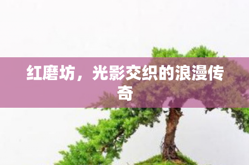 红磨坊，光影交织的浪漫传奇
