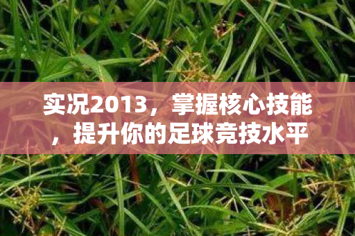 实况2013，掌握核心技能，提升你的足球竞技水平