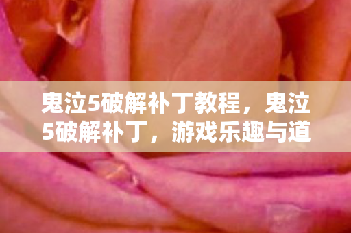 鬼泣5破解补丁教程，鬼泣5破解补丁，游戏乐趣与道德边界的探讨