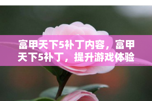 富甲天下5补丁内容，富甲天下5补丁，提升游戏体验的必备工具