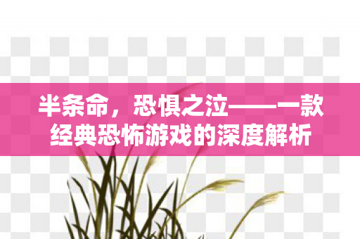 半条命，恐惧之泣——一款经典恐怖游戏的深度解析