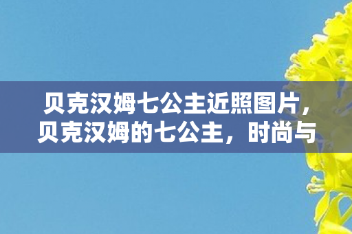 贝克汉姆七公主近照图片，贝克汉姆的七公主，时尚与爱的传承