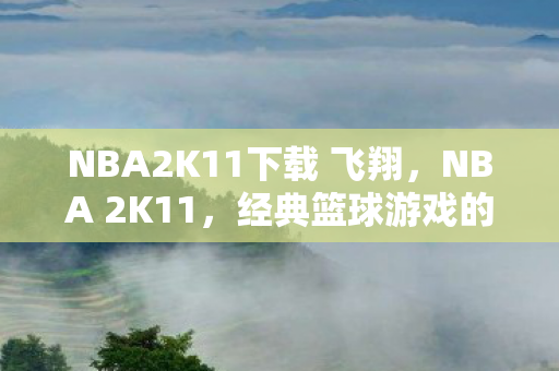 NBA2K11下载 飞翔，NBA 2K11，经典篮球游戏的下载与体验
