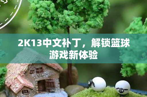 2K13中文补丁，解锁篮球游戏新体验