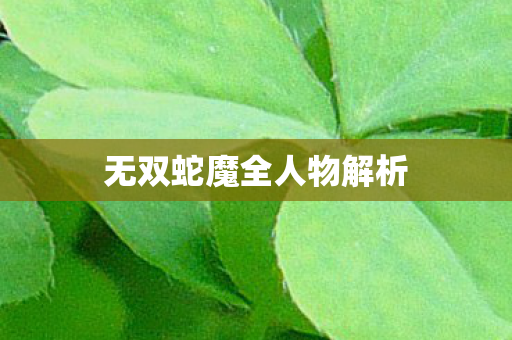 无双蛇魔全人物解析