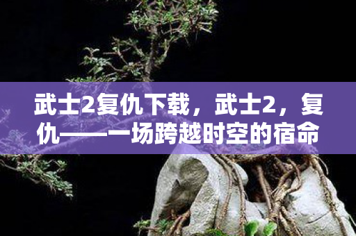 武士2复仇下载，武士2，复仇——一场跨越时空的宿命对决