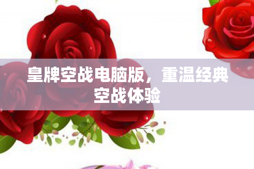 皇牌空战电脑版，重温经典空战体验