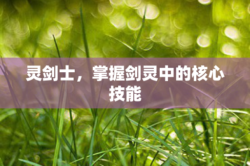 灵剑士，掌握剑灵中的核心技能
