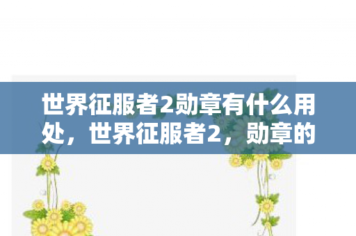 世界征服者2勋章有什么用处,世界征服者2,勋章的荣耀与意义 世界征服者2勋章有什么用处,世界征服者2,勋章的荣耀与意义