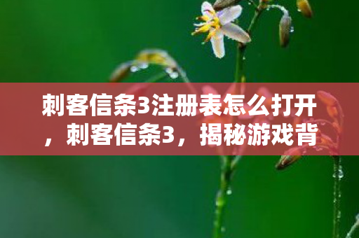 刺客信条3注册表怎么打开,刺客信条3,揭秘游戏背后的注册表 刺客信条3注册表怎么打开,刺客信条3,揭秘游戏背后的注册表