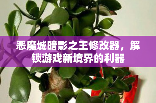 恶魔城暗影之王修改器,解锁游戏新境界的利器 恶魔城暗影之王修改器,解锁游戏新境界的利器
