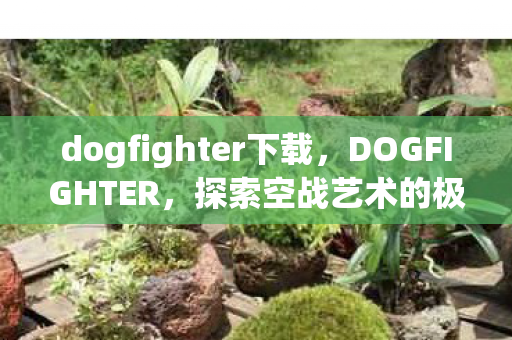 dogfighter下载，DOGFIGHTER，探索空战艺术的极致