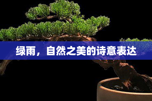 绿雨，自然之美的诗意表达