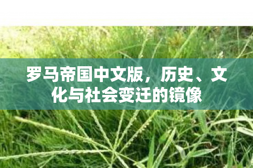 罗马帝国中文版，历史、文化与社会变迁的镜像