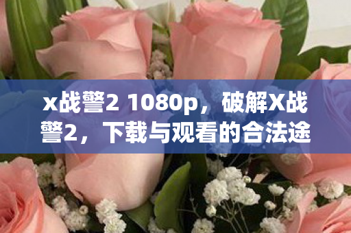 x战警2 1080p，破解X战警2，下载与观看的合法途径