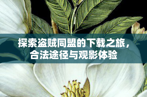 探索盗贼同盟的下载之旅，合法途径与观影体验