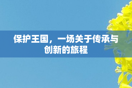 保护王国，一场关于传承与创新的旅程