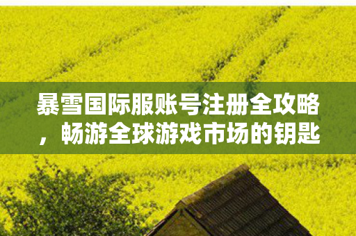 暴雪国际服账号注册全攻略,畅游全球游戏市场的钥匙 暴雪国际服账号注册全攻略,畅游全球游戏市场的钥匙
