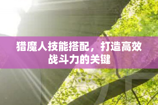 猎魔人技能搭配，打造高效战斗力的关键