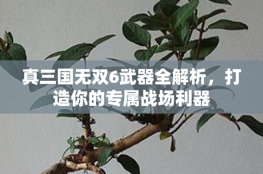 真三国无双6武器全解析，打造你的专属战场利器