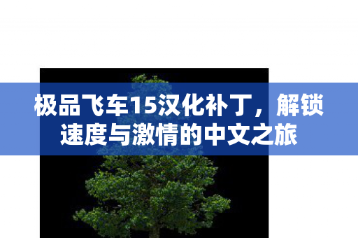 极品飞车15汉化补丁，解锁速度与激情的中文之旅