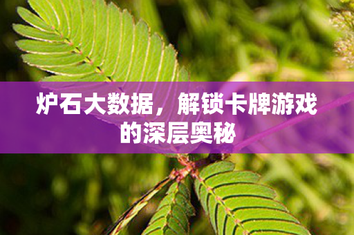 炉石大数据，解锁卡牌游戏的深层奥秘