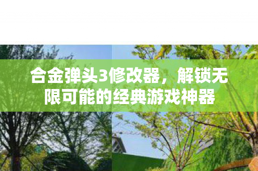 合金弹头3修改器，解锁无限可能的经典游戏神器