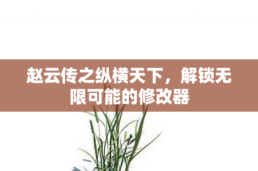 赵云传之纵横天下，解锁无限可能的修改器