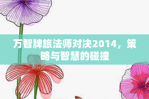 万智牌旅法师对决2014，策略与智慧的碰撞