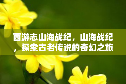 西游志山海战纪，山海战纪，探索古老传说的奇幻之旅