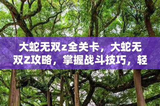 大蛇无双z全关卡，大蛇无双Z攻略，掌握战斗技巧，轻松通关