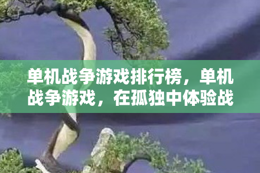 单机战争游戏排行榜，单机战争游戏，在孤独中体验战争的残酷与荣耀
