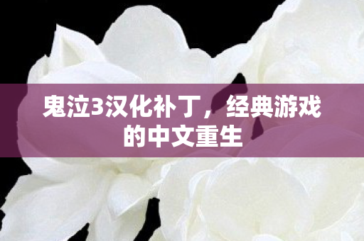 鬼泣3汉化补丁，经典游戏的中文重生