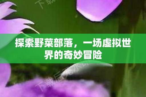 探索野菜部落，一场虚拟世界的奇妙冒险
