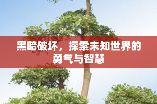 黑暗破坏，探索未知世界的勇气与智慧