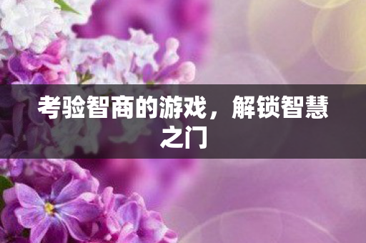 考验智商的游戏，解锁智慧之门