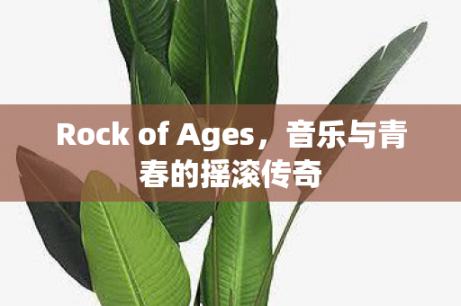Rock of Ages，音乐与青春的摇滚传奇