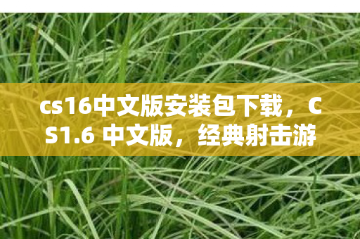 cs16中文版安装包下载，CS1.6 中文版，经典射击游戏的传承与革新