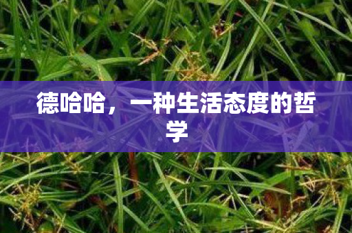 德哈哈，一种生活态度的哲学