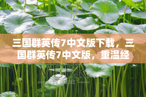 三国群英传7中文版下载，三国群英传7中文版，重温经典，领略策略游戏的魅力